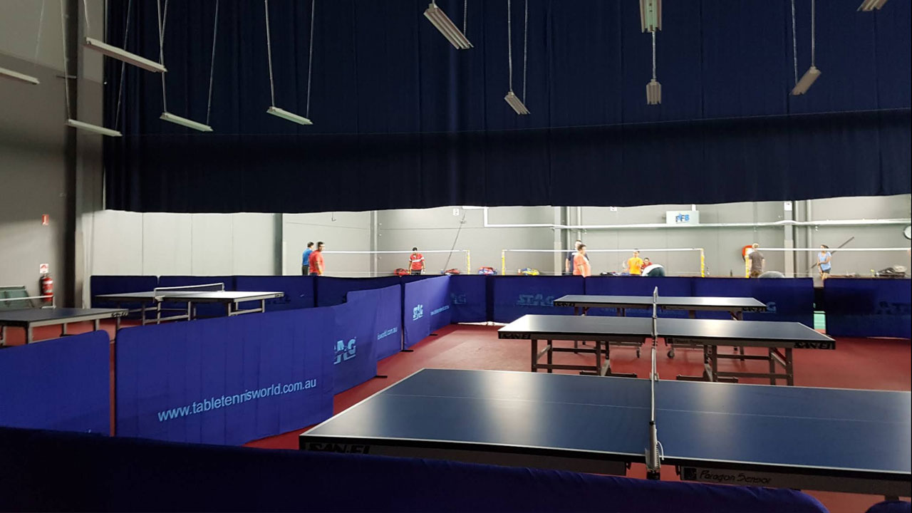Pro Fit Badminton (Table Tennis)